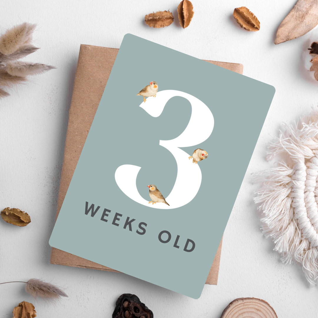 Baby Milestone Cards