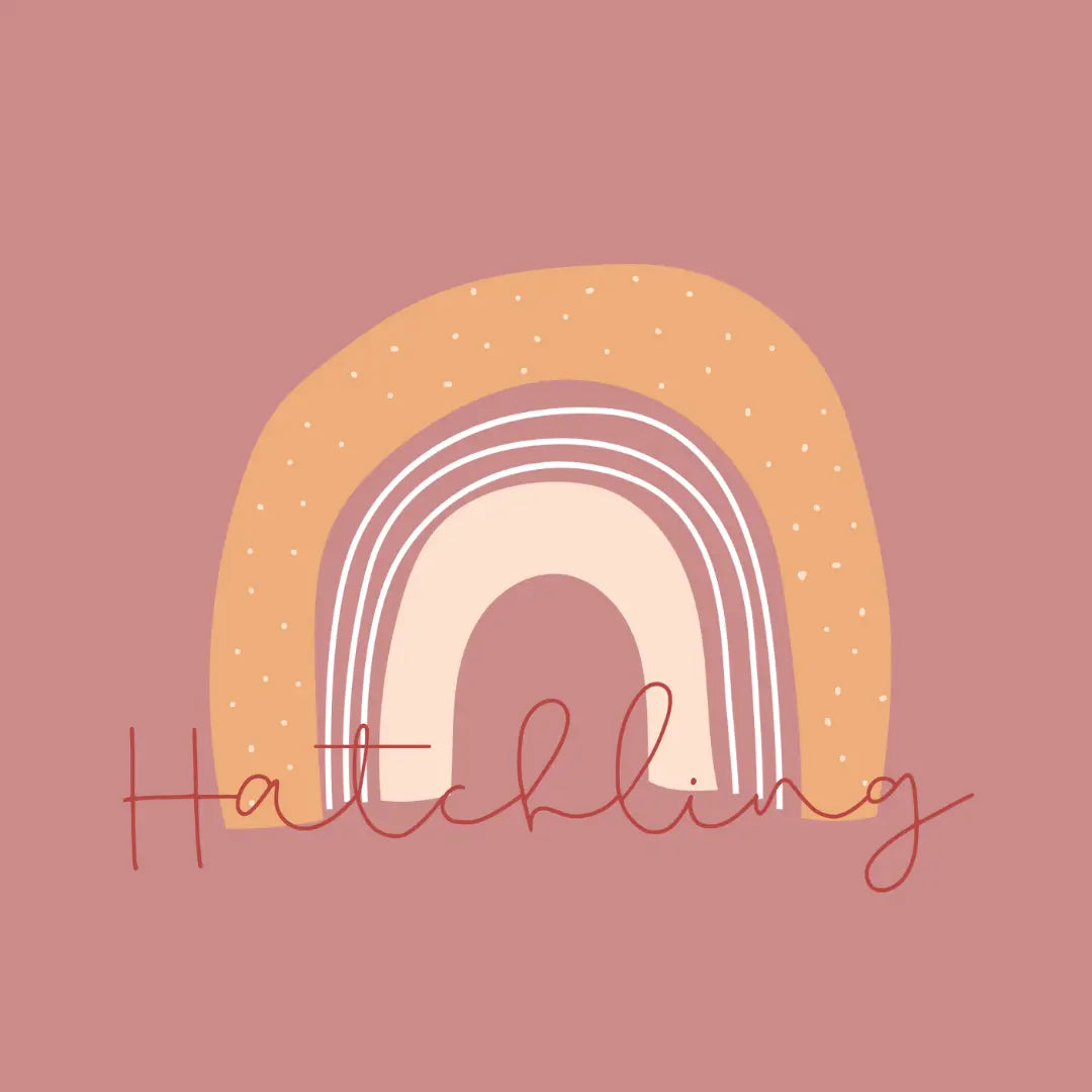 Pink hatchling gift voucher with peach coloured rainbow