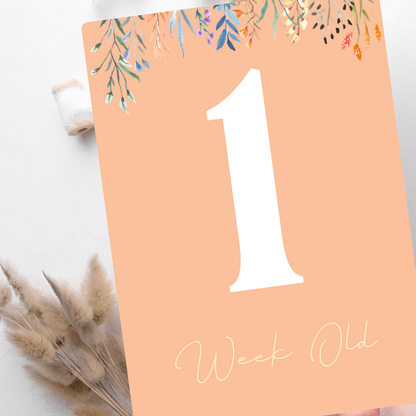 Baby Milestone Cards