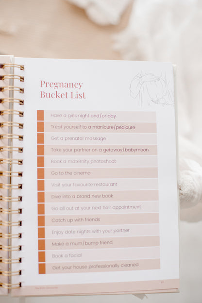 Pregnancy Journal
